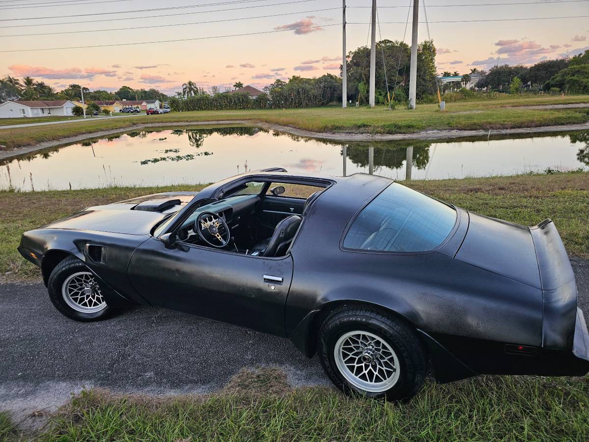 Pontiac-firebird-trans-am-ws6-1979-1