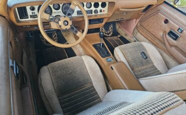 Pontiac-firebird-trans-am-ws6-1979-1