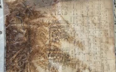 Pontiac-firebird-trans-am-ws6-1979-10