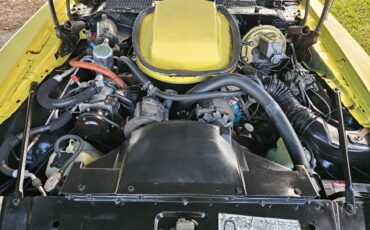 Pontiac-firebird-trans-am-ws6-1979-10