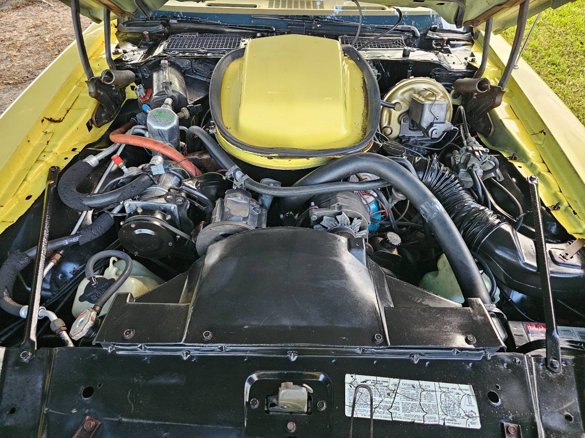 Pontiac-firebird-trans-am-ws6-1979-10