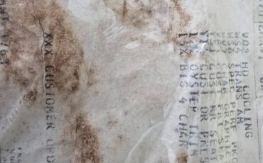 Pontiac-firebird-trans-am-ws6-1979-11