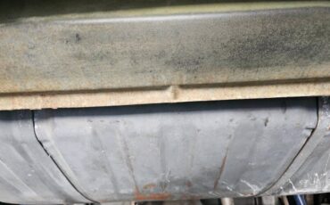 Pontiac-firebird-trans-am-ws6-1979-13