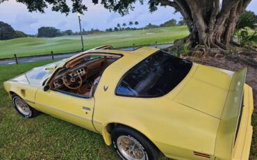 Pontiac-firebird-trans-am-ws6-1979-21