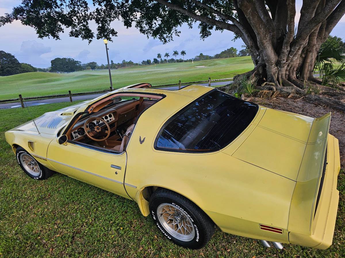 Pontiac-firebird-trans-am-ws6-1979-21