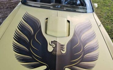 Pontiac-firebird-trans-am-ws6-1979-22