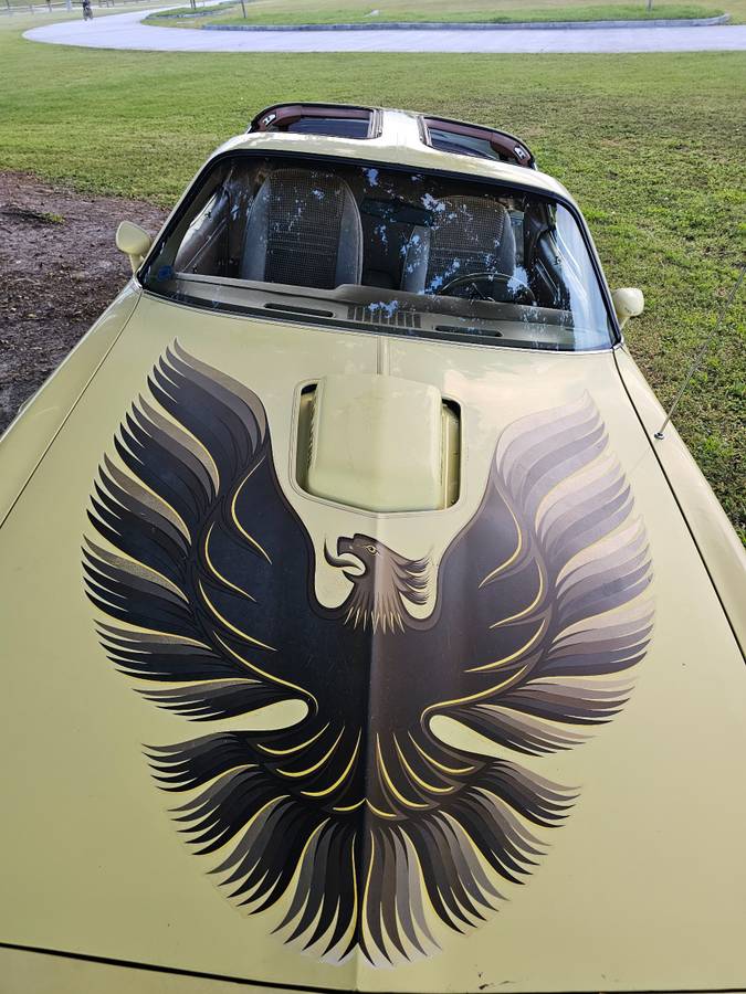 Pontiac-firebird-trans-am-ws6-1979-22