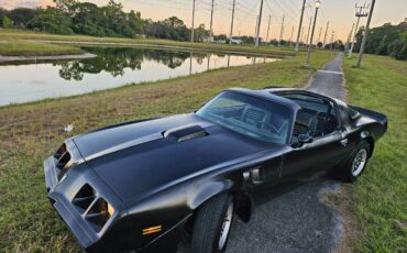 Pontiac-firebird-trans-am-ws6-1979