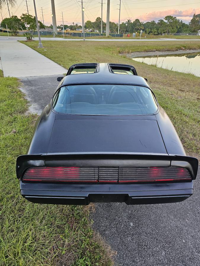 Pontiac-firebird-trans-am-ws6-1979-3