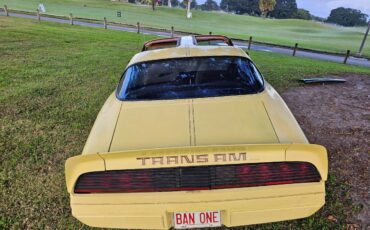 Pontiac-firebird-trans-am-ws6-1979