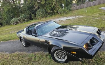 Pontiac-firebird-trans-am-ws6-1979-4