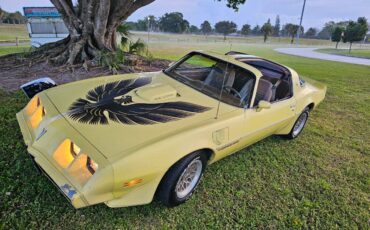 Pontiac-firebird-trans-am-ws6-1979-4
