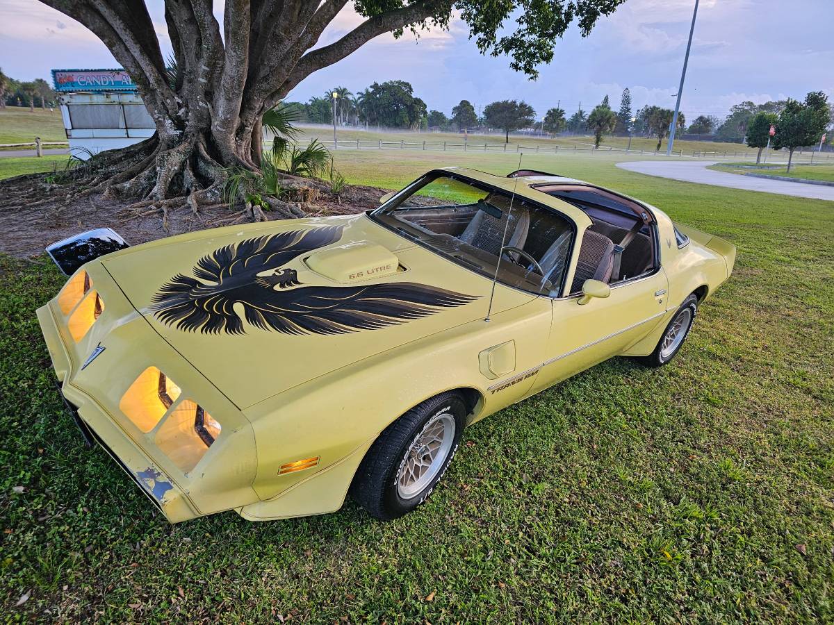 Pontiac-firebird-trans-am-ws6-1979-4