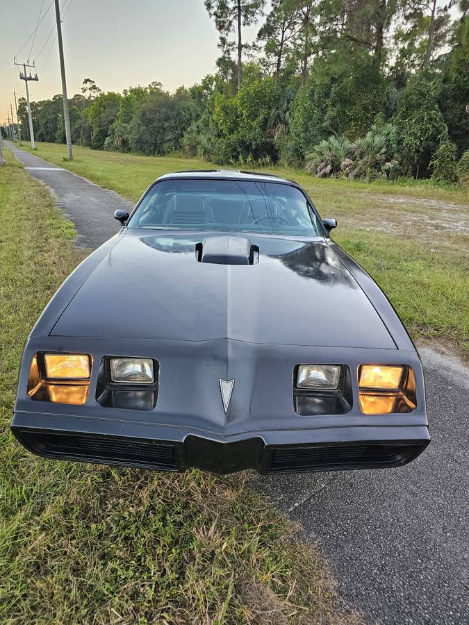 Pontiac-firebird-trans-am-ws6-1979-5