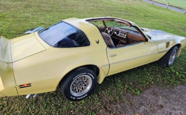 Pontiac-firebird-trans-am-ws6-1979-5