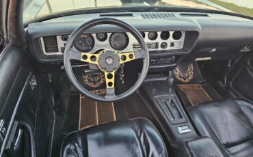 Pontiac-firebird-trans-am-ws6-1979-6