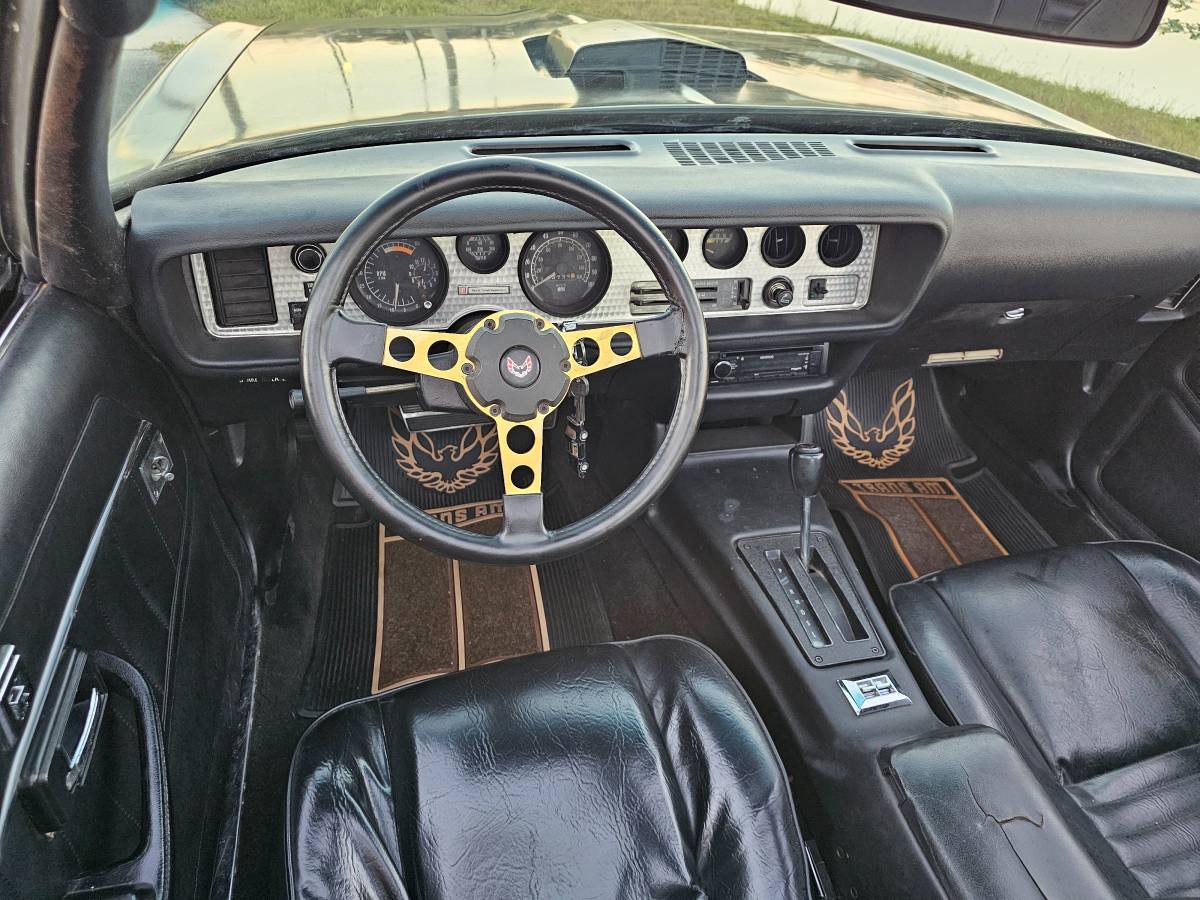 Pontiac-firebird-trans-am-ws6-1979-6