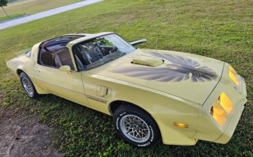 Pontiac-firebird-trans-am-ws6-1979-6