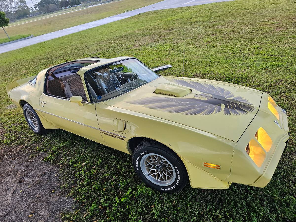 Pontiac-firebird-trans-am-ws6-1979-6