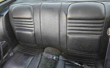 Pontiac-firebird-trans-am-ws6-1979-7