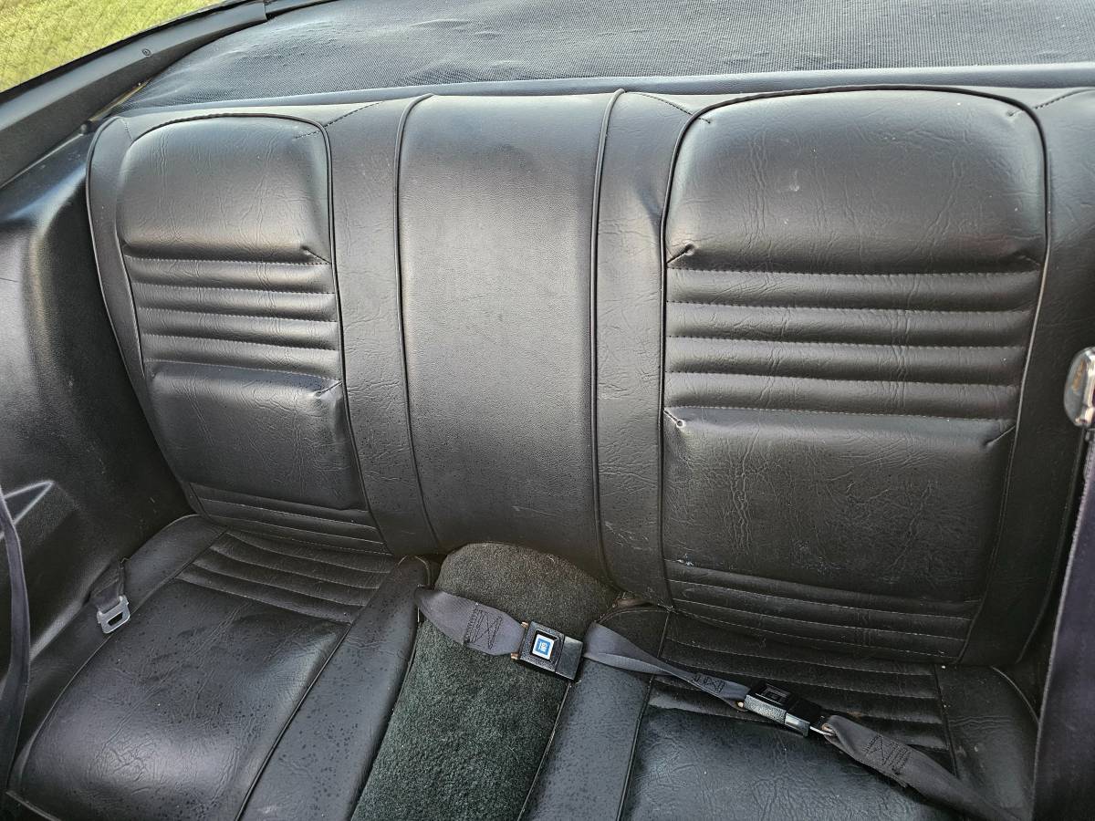 Pontiac-firebird-trans-am-ws6-1979-7