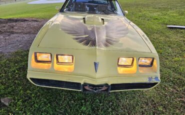 Pontiac-firebird-trans-am-ws6-1979-7