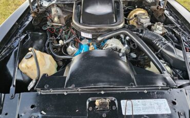 Pontiac-firebird-trans-am-ws6-1979-8