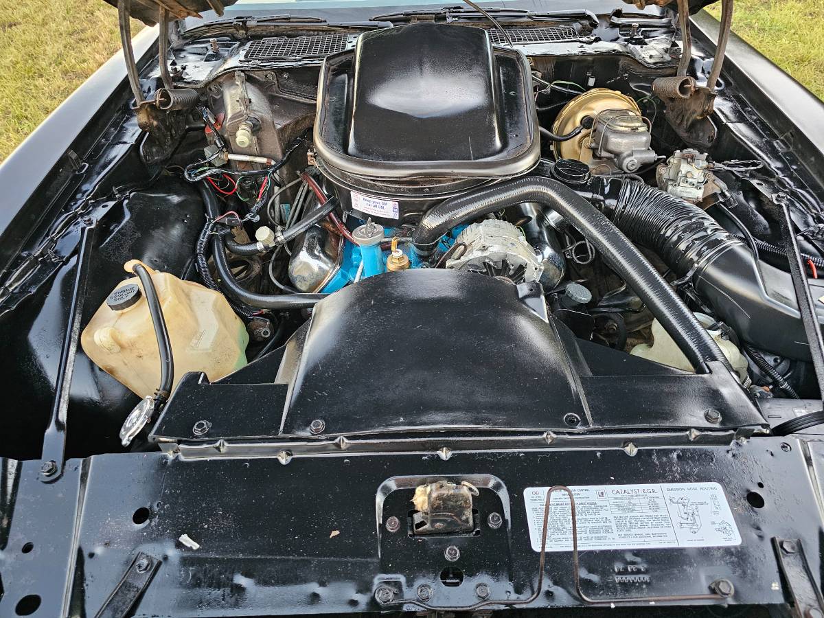 Pontiac-firebird-trans-am-ws6-1979-8