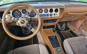 Pontiac-firebird-trans-am-ws6-1979-8