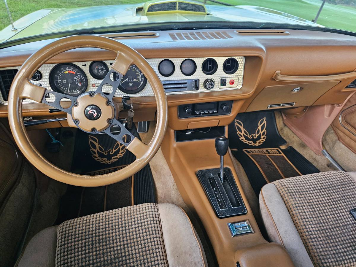 Pontiac-firebird-trans-am-ws6-1979-8