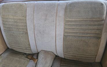 Pontiac-firebird-trans-am-ws6-1979-9