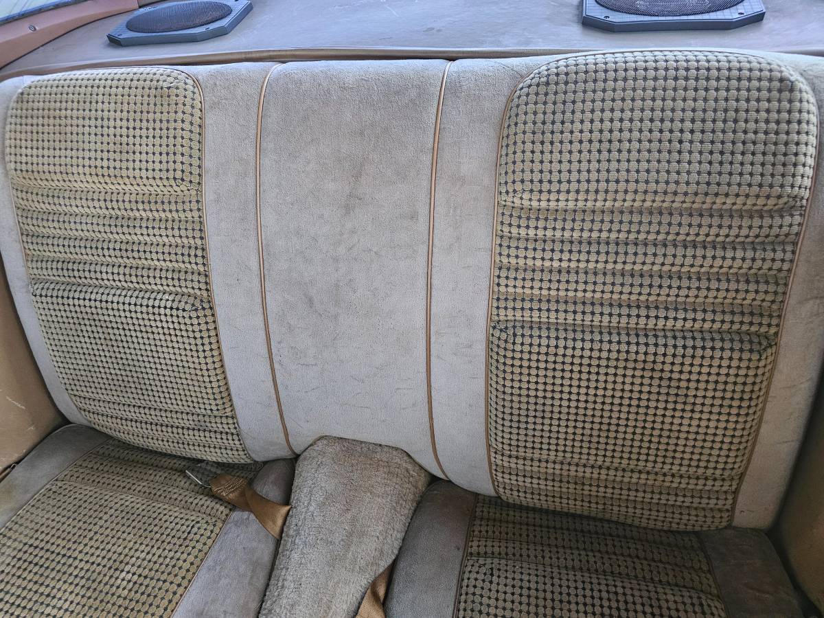 Pontiac-firebird-trans-am-ws6-1979-9