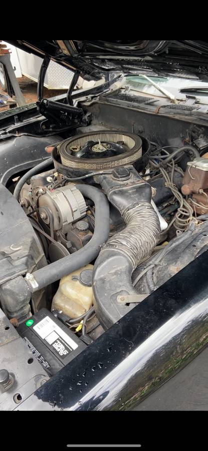 Pontiac-formula-firebird-1976-black-6