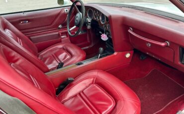 Pontiac-grand-am-1974-white-12