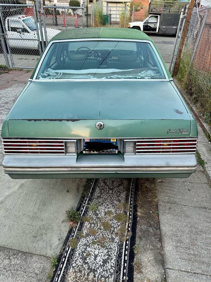 Pontiac-grand-le-mans-1978-green-13