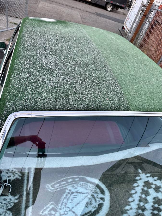 Pontiac-grand-le-mans-1978-green-14