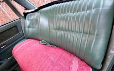 Pontiac-grand-le-mans-1978-green-17