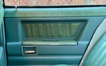 Pontiac-grand-le-mans-1978-green-18