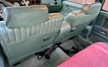 Pontiac-grand-le-mans-1978-green-19