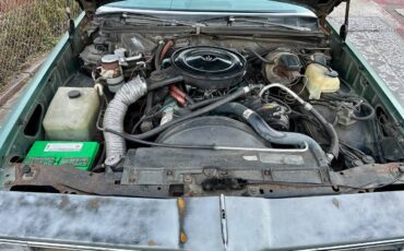 Pontiac-grand-le-mans-1978-green-23