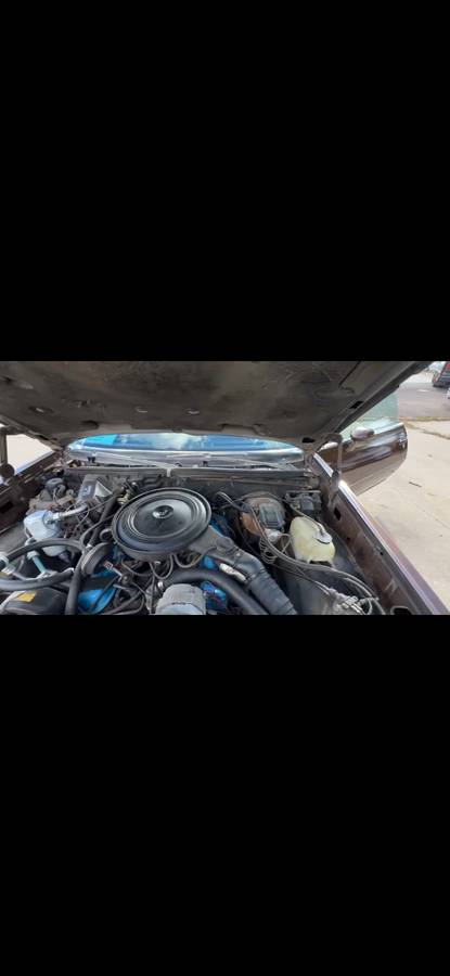 Pontiac-grand-prix-lj-1978-brown-4