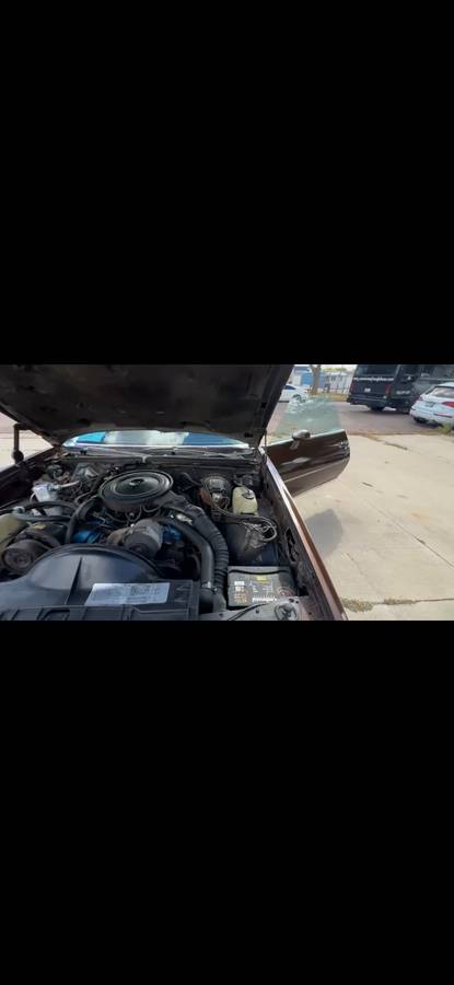 Pontiac-grand-prix-lj-1978-brown-5