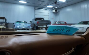 Pontiac-trans-am-1979-10