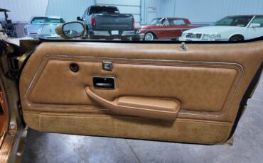 Pontiac-trans-am-1979-14