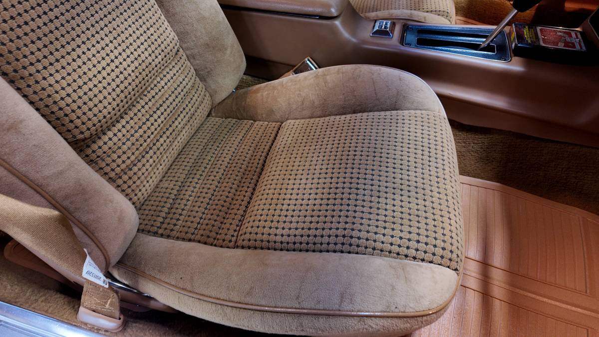 Pontiac-trans-am-1979-15