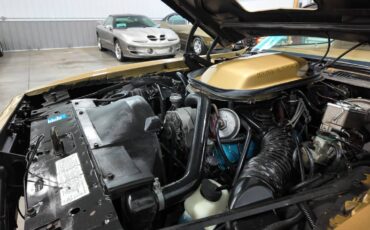 Pontiac-trans-am-1979-17