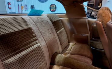 Pontiac-trans-am-1979-5