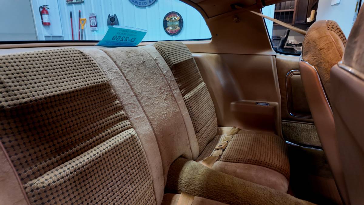 Pontiac-trans-am-1979-5