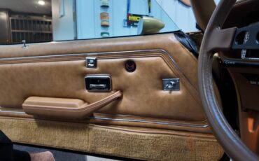 Pontiac-trans-am-1979-8