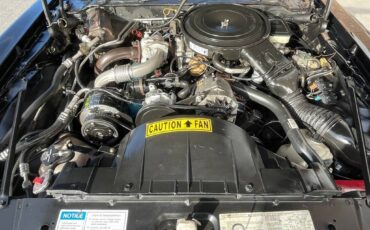 Pontiac-trans-am-1981-black-113